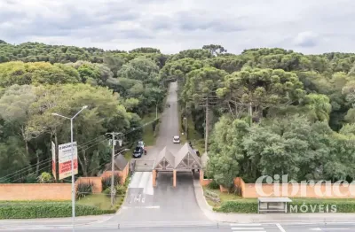 Terreno à venda na Rodovia João Leopoldo Jacomel, 4656, Jardim Primavera, Piraquara