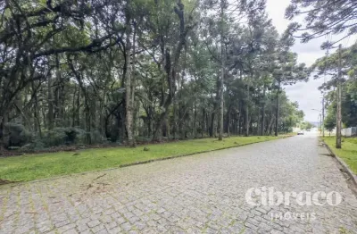 Terreno à venda na Rodovia João Leopoldo Jacomel, 4656, Jardim Primavera, Piraquara