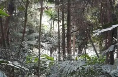 Terreno à venda na rua riese, sete praias, são paulo, 3850 m2 por r$ 820.000