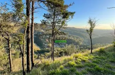 Chácara / sítio com 2 quartos à venda na Rua Nicolau Antonio Brilha, Centro, Mairiporã