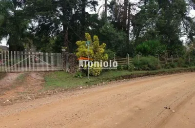 Chácara / sítio com 3 quartos à venda na Rua Campestre, Colônia Murici, São José dos Pinhais