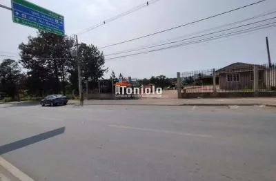 Terreno à venda na Avenida Rui Barbosa, Colônia Rio Grande, São José dos Pinhais