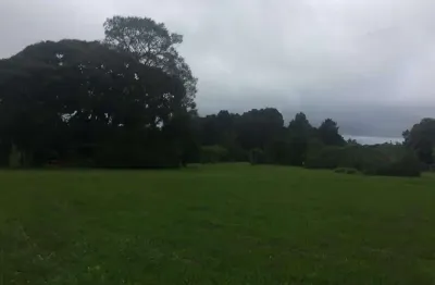 Terreno à venda na Rua Pedro Valaski, Jurema, São José dos Pinhais
