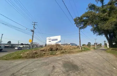 Terreno à venda na Rua Arsênia Pissaia Zanchetta, Itália, São José dos Pinhais
