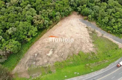 Terreno à venda na Rodovia Contorno Norte, Lamenha Grande, Almirante Tamandaré