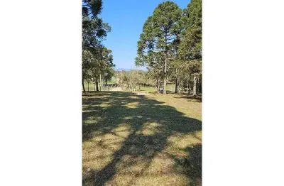 Chácara / sítio à venda na Rua Alexandre Kreoniz, Campestre da Faxina, São José dos Pinhais