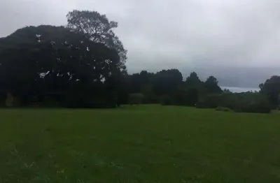 Terreno comercial à venda na Rua Pedro Valaski, 1805, Jurema, São José dos Pinhais