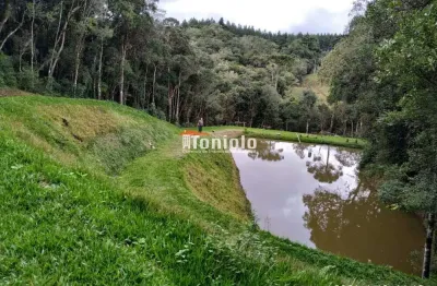 Chácara / sítio com 2 quartos à venda na Rua Joao Grebogi Da Lavra, Colônia Malhada, São José dos Pinhais