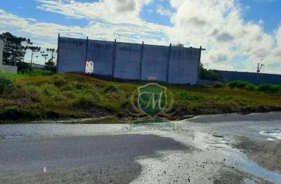 Terreno à venda, 1 m² por r$ 945.000 - centro industrial mauá - colombo/pr