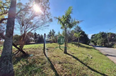 Terreno à venda, 5346 m² por r$ 2.500.000,00 - jardim boa vista - pinhais/pr