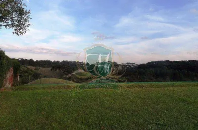 Terreno à venda, 704 m² por r$ 2.300.000 - loteamento alphaville graciosa - pinhais/pr