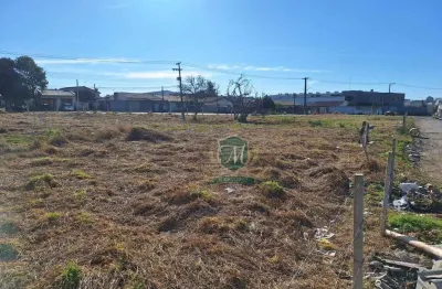 Terreno à venda, 2 m² por r$ 1.900.000,00 - roseira - são josé dos pinhais/pr
