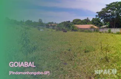 Terreno à venda, 4000 m² por r$ 450.000,00 - goiabal - pindamonhangaba/sp