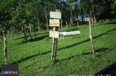 Terreno para venda - 0m², 0 dormitórios, lomba do pinheiro