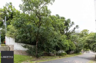 Terreno, 363.78 m², em vila conceição, em região elevada e livre de inundações