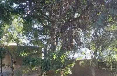 Terreno à venda na Rua Silveiro, 1423, Menino Deus, Porto Alegre