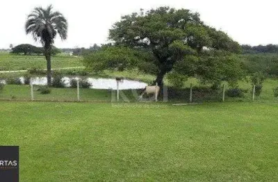 Sítio  com 4 hectares no bairro itapuã em viamão/rs