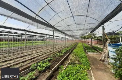Sítio dentro de porto alegre 6.629,10 metros quadrados de área no bairro campo novo.