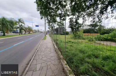 Terreno à venda na Avenida da Cavalhada, 3000, Cavalhada, Porto Alegre
