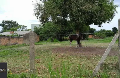 Terreno à venda na Rua Oito Mil e Dezessete, 13, Lageado, Porto Alegre