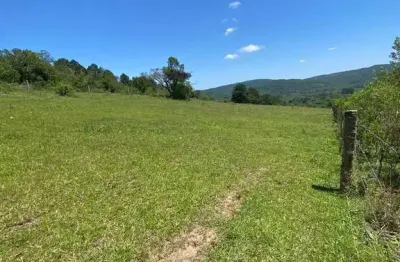 Barracão / Galpão / Depósito à venda na Estrada São Caetano, 3777, Lami, Porto Alegre