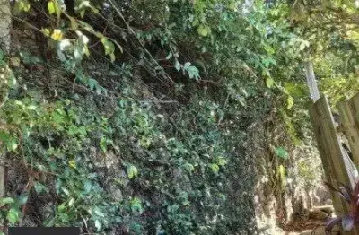 Terreno com 482 m² para venda no bairro santa tereza/menino deus em porto alegre/rs.