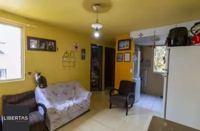 Apartamento com 2 dormitórios no bairro vila nova condomínio san rafael