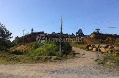 Terreno comercial à venda na zona rural, quatro barras  por r$ 1.950.000
