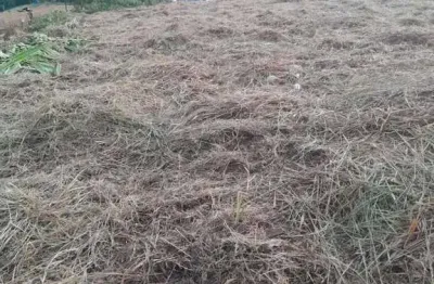 Terreno à venda na Variante Américo Pedro Benedette, 100, Zona Rural, Pinhalzinho