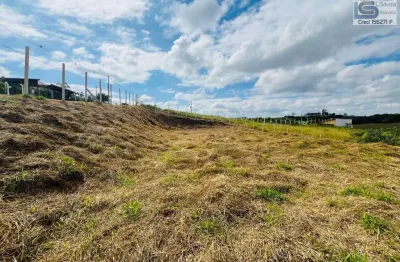 Terreno à venda na Variante Américo Pedro Benedette, 100, Zona Rural, Pinhalzinho