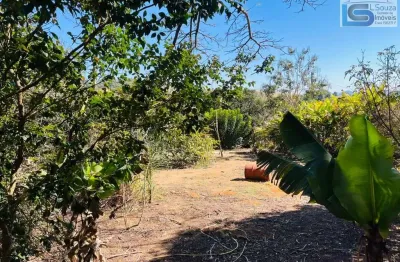 Terreno à venda na Rua Das Palmeiras, 01, Jardim Do Pinhal, Pinhalzinho