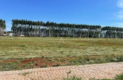 Terreno à venda no bairro tropical iv em cascavel por r$ 319.000,00