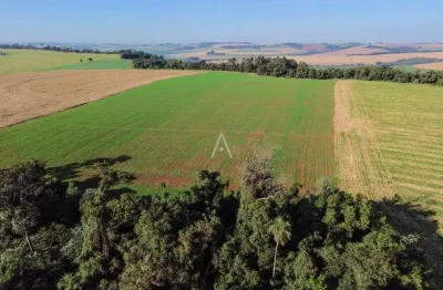 Barracão / Galpão / Depósito à venda na Vila Rural Linha Peroba, Zona Rural, Cascavel
