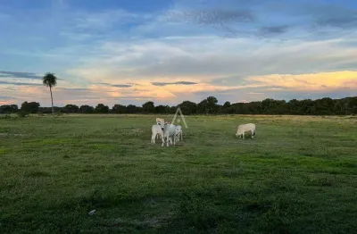 Barracão / Galpão / Depósito à venda na Fazenda Em Itiquira Municipio De Barão De Melgaço, Zona Rural, Itiquira