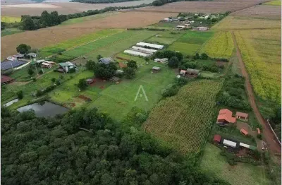 Chácara à venda com 2 hectares, em santa tereza do oeste, cascavel - pr., por r$ 650.000,00