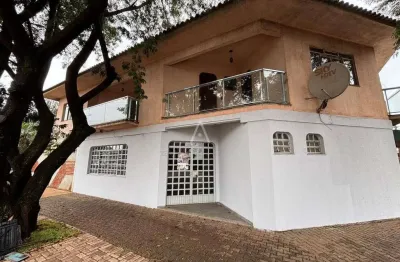 Sala comercial para locação no bairro maria luiza em cascavel pr
