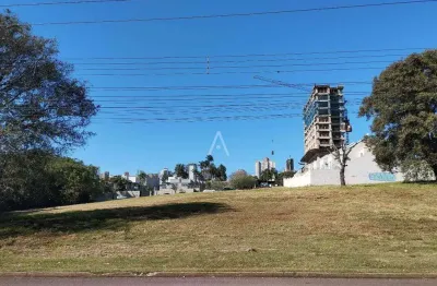 Excelente terreno para locação – bairro cancelli – cascavel/pr