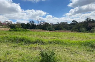 Terreno à venda no bairro jardim pancera em toledo por r$ 734.768,00