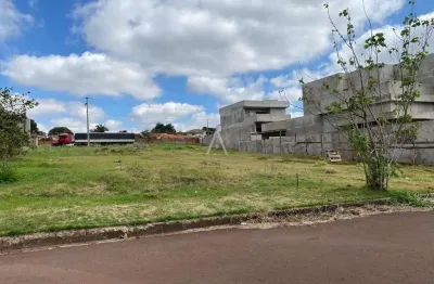 Terreno à venda no bairro jardim pancera em toledo por r$ 490.000,00