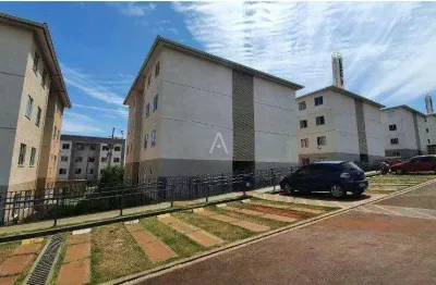 Apartamento para locação – residencial san lorenzo ii - floresta