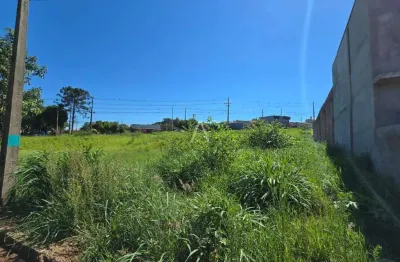 Terreno para aluguel no bairro jardim europa/américa em toledo por r$ 2.800,00