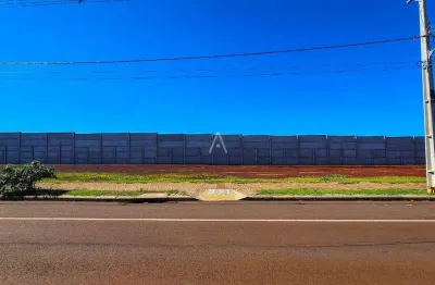 Terreno á venda com 300m² no Paraiso Tropical II em Cascavel - Pr, R$ 325.000,00