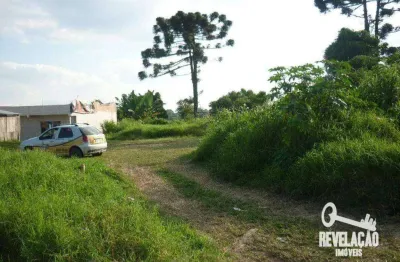 Terreno à venda, 1794 m² por r$ 550.000,00 - são sebastião - são josé dos pinhais/pr