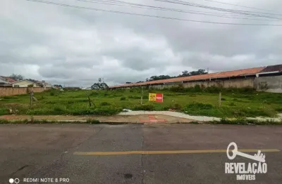 Área à venda, 6050 m² por r$ 1.800.000,00 - campo largo da roseira - são josé dos pinhais/pr