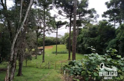 Chácara com 3 dormitórios à venda, 33000 m² por r$ 1.200.000,00 - contenda - são josé dos pinhais/pr
