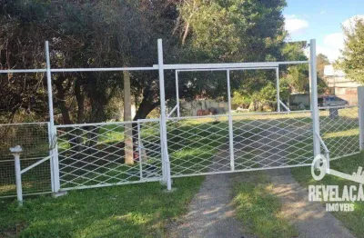 Terreno à venda, 770 m² por r$ 850.000 - são domingos - são josé dos pinhais/pr