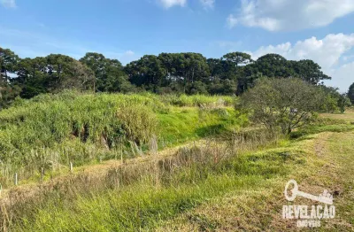 Área à venda, 27219 m² por r$ 9.600.000,00 - zacarias - são josé dos pinhais/pr
