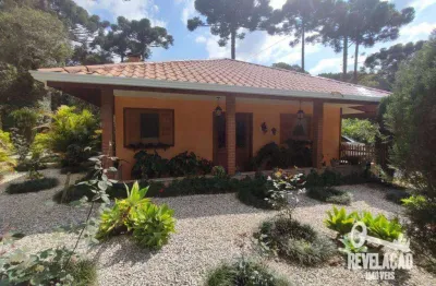 Chácara com 3 dormitórios à venda, 21698 m² por r$ 1.500.000,00 - miringuava - são josé dos pinhais/pr