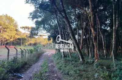 Chácara à venda, 3054 m² por r$ 499.000,00 - borda do campo - são josé dos pinhais/pr