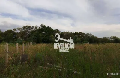 Terreno à venda, 300 m² - barro preto - são josé dos pinhais/pr